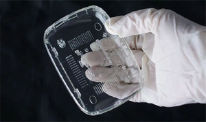 Ng&agrave;nh gi&aacute;o dục